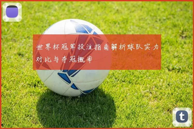 世界杯冠军投注指南解析球队实力对比与夺冠概率