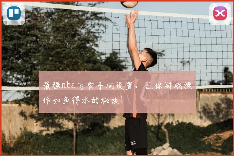 最强nba飞智手柄设置，让你游戏操作如鱼得水的秘诀！