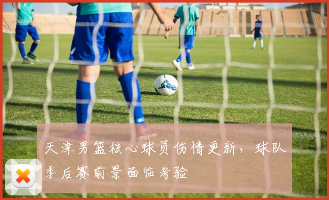 天津男篮核心球员伤情更新,球队季后赛前景面临考验