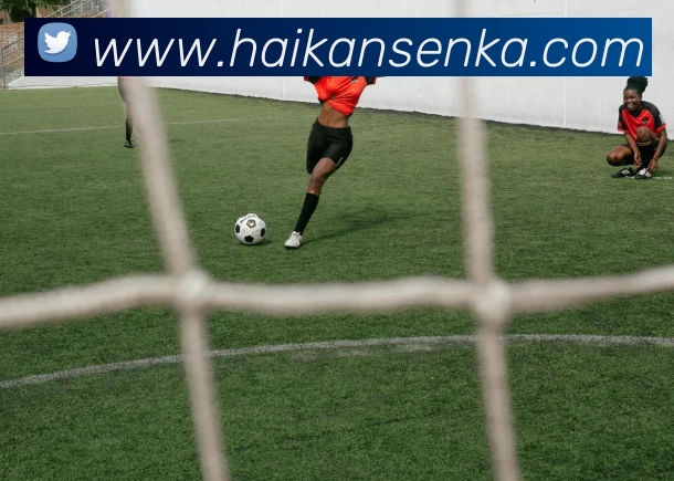 App Interface Preview